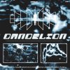 Обложка песни DANDELION