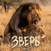 Обложка песни Зверь
