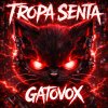 Обложка песни Tropa Senta