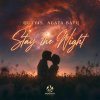 Обложка песни Stay the Night