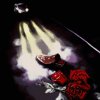 Обложка песни MARTINE ROSE