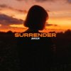Обложка песни Surrender