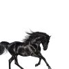 Обложка песни Old Town Road