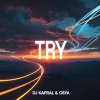 Обложка песни Try