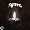 Обложка песни Tigrinho