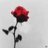 Обложка песни Посмотри