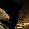 Обложка песни Me and you