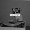 Обложка песни Disco