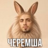 Обложка песни ЧЕРЕМША