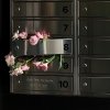Обложка песни Ветер в поле