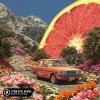 Обложка песни I Took A Pill In Ibiza