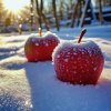 Обложка песни Яблоки на снегу