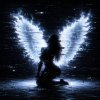 Обложка песни Fallen Angel