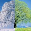 Обложка песни Летом и Зимой