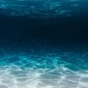 Обложка песни Ocean Eyes