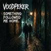 Обложка песни Something Followed Me Home