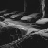 Обложка песни Наскар