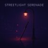 Обложка песни Streetlight Serenade