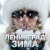 Обложка песни Зима