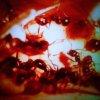 Обложка песни Fye