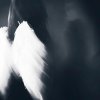 Обложка песни Softcrush