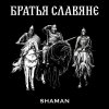 Обложка песни БРАТЬЯ СЛАВЯНЕ