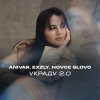 Обложка песни Украду 2 0