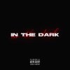 Обложка песни IN THE DARK