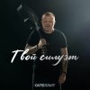 Обложка песни Твой силуэт