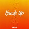 Обложка песни HANDS UP