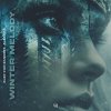 Обложка песни Winter Melody